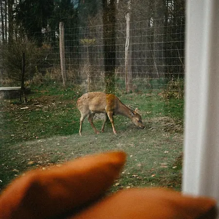 Zivili Prázdninový dům Smilkov