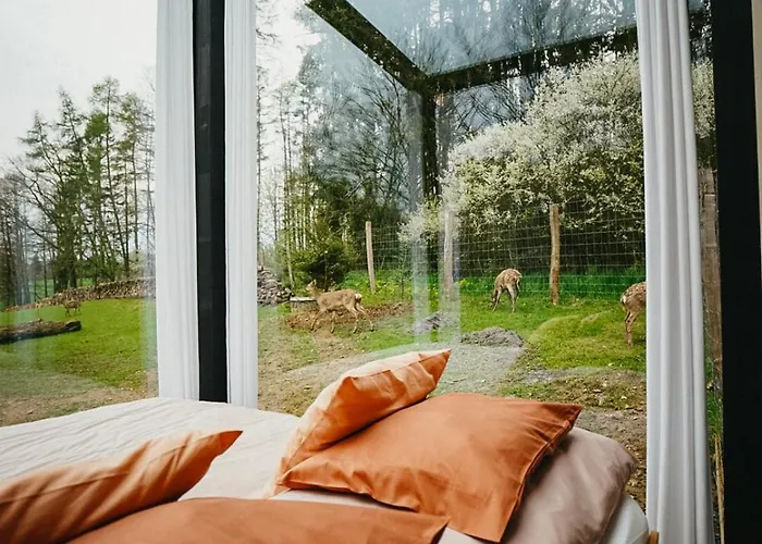 Zivili Сasa de vacaciones