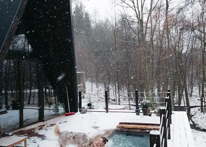 Zivili Сasa de vacaciones