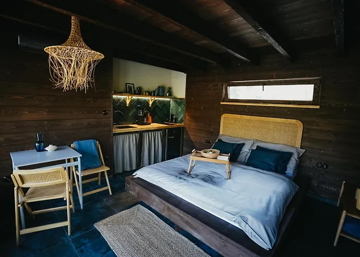 Zivili Сasa de vacaciones *