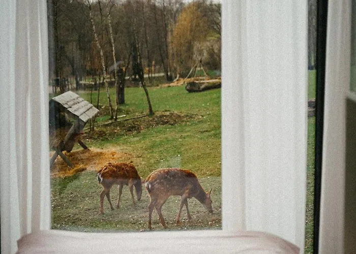 Сasa de vacaciones Zivili